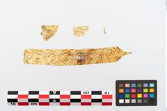 Foto von Goldfolienbeschlag (NHMW-PRAE-026400)